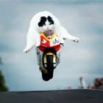 brendon Pope - @cletus_pope - Instagram