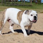 Cletus Riley - @cletus.riley - Instagram