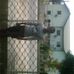 Cletus Robinson - Facebook
