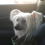 Cletus simpson - @simpson.cletus - Instagram