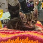 Albert & Cliff - @albertandcliff - Instagram