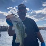 Cliff Robirds - @cliff_rob_bass - Instagram