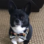 Cliff Bennett III - @cliffbennettiii - Instagram