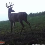 Clifton Buck - @cliffbuck54 - Instagram