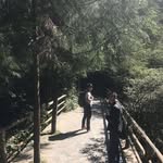 Cliff Chow - @kfcc888 - Instagram