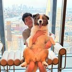 Clifford Chow - @clifford.chow - Instagram