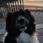 Cliff Edwards - @cliffed14 - Instagram