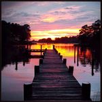 Cliff Fleming - @vcdh2016 - Instagram