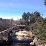 Cliff Grant - @cliff.grant.52 - Instagram