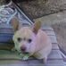 Clifford Hicks - Facebook