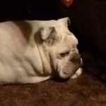 Cliff Hightower - @slobbering_walrus - Instagram