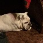 Cliff Hightower - @cliff.hightower - Instagram