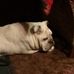 Cliff Hightower - Facebook