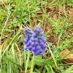 Cliff - @cliff_hill_ - Instagram