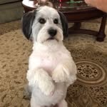 Cliff Hill - @cliffhill38 - Instagram