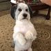 Cliff Hill - Facebook