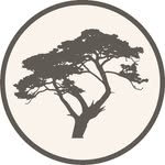 Cliff House - @cliff_house_ - Instagram