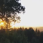 Cliff House in the Vineyards - @cliffhouselosgatos - Instagram