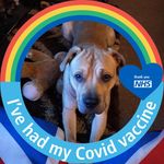 Cliff Hughes - @cliffhughes1818 - Instagram