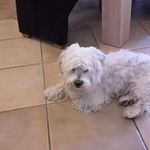 Cliff Hughes - @cliff.hughes.923 - Instagram