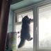 Clifford Hughes - Facebook