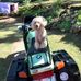 Cliff Hutton - Facebook