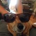 Cliff Jeffcoat - Facebook