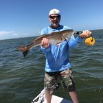 Cliff Jenkins - @cliffjenkins1984 - Instagram