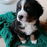 Cliff Jenkins - @cliff57jenkins - Instagram