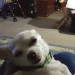 Cliff Johnston Johnston - @cliffjohnstonjohnston - Instagram