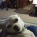 Cliff Johnston Johnston - Facebook