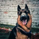 Clifford Kaiser Benson - @kaiser.gs - Instagram