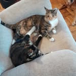 Cliff Kane - @gingerbread_n_honey - Instagram