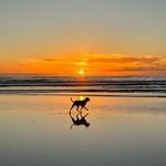 Cliff Kent - @clintisgonesurfing - Instagram