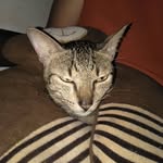 John Cliff Jumawan - @cliff.kidddd - Instagram