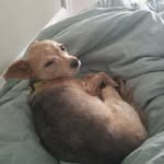 Clifford William Rice-Krause - @cwricekrause - Instagram