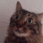 Heathcliff Lambert - @heathclifflambert - Instagram