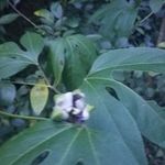 Cliff Price - @cliff.price.73 - Instagram