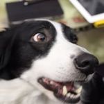 Cliff Roberts - @cliff.roberts17 - Instagram