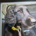 Cliff Russell - @russelljc2002 - Instagram
