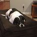 Cliff Schmidt - Facebook
