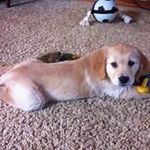 Mary Ebel Clifford - @mcliffschmidty - Instagram