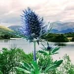Cliff Stroud - @stroud.cliff - Instagram