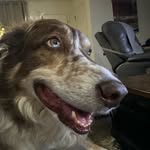 Clifton Stroud - @cliffyindahizzy - Instagram