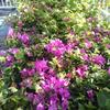 Clifton Thomas - @clifton.thomas3 - TikTok