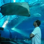 Cliff Waters - @cliffwaters82 - Instagram