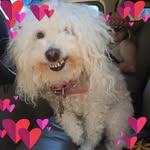 Michael Austin Harpel - @cliffwaters - Instagram