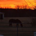 Clifton Wiggins - @clifton.wiggins.10 - Instagram