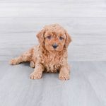 Clifford Winters - @cliffordslife - Instagram
