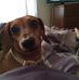 Cliff Wolfe - Facebook